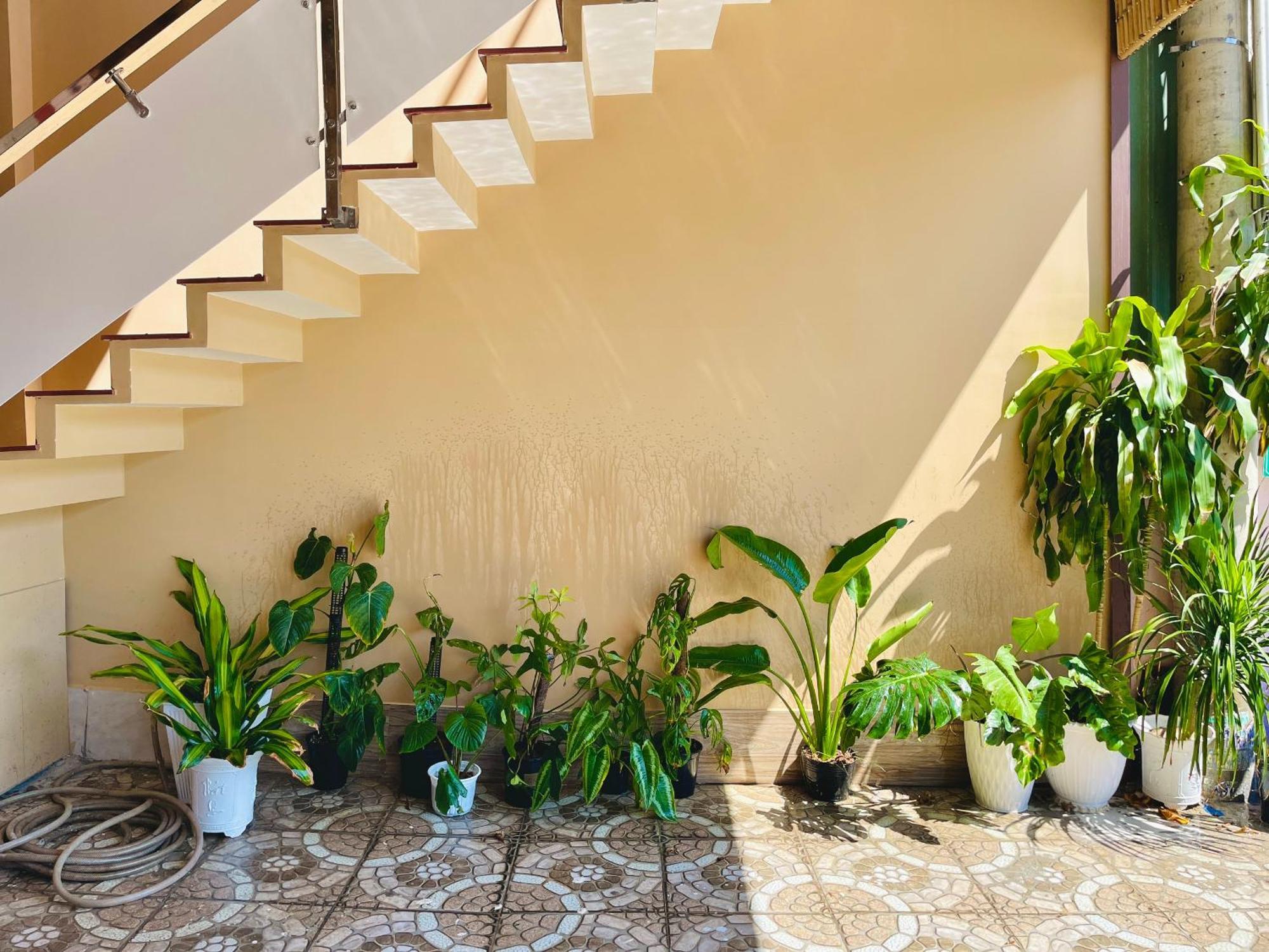 T'H Homestay Mũi Né Extérieur photo